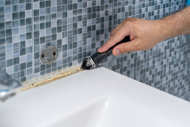 Best Affordable Mold Removal  in Bloomingdale, FL